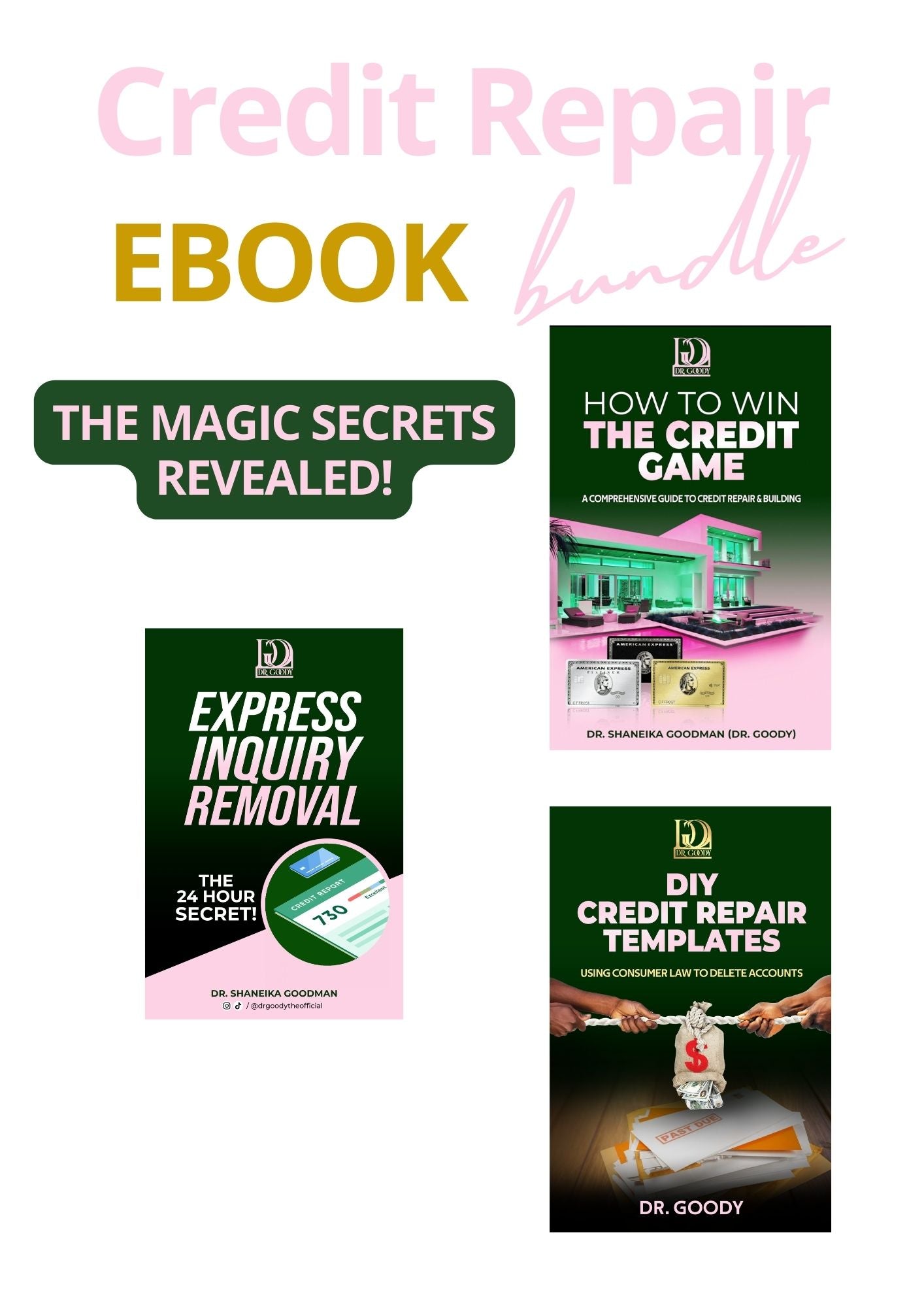 Credit Repair Magic Bundle